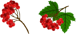 Cursor preview: Custom Cute Viburnum Cursor Pack - 1 - cute-cursor.com