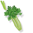 Cursor - 1 - cute-cursor.com