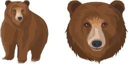 Cursor preview: Brown Bear - 1 - cute-cursor.com