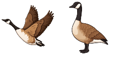 Cursor preview: Canada Goose - 64 - cute-cursor.com
