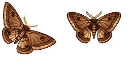 Cursor preview: Brown Emperor Moth - 57 - cute-cursor.com