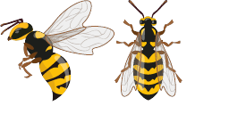 Cursor preview: Worker Bee - 66 - cute-cursor.com