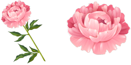 Cursor preview: Peony Cursor Pack - Custom Window Cursors - 65 - cute-cursor.com